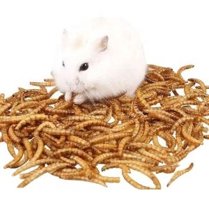 Nutrient-rich Worm Meal for Pigs - 57% Protein 1 Year Shelf Life Guarantee