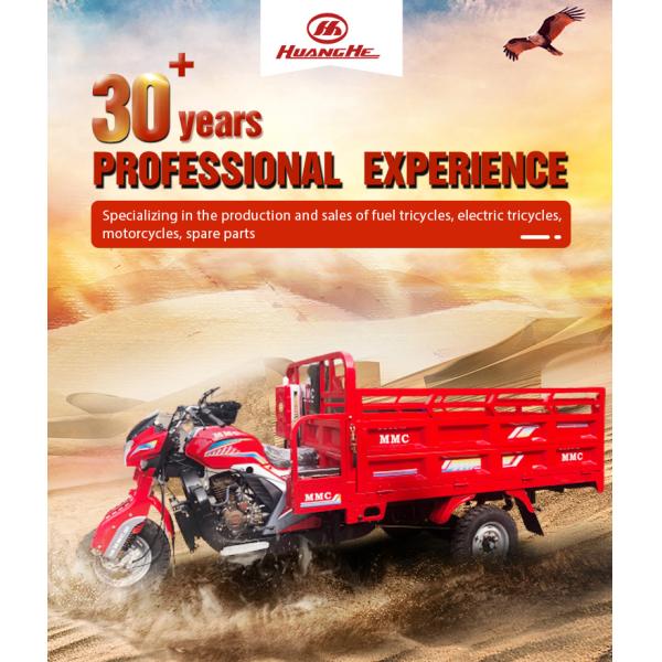 250cc Cargo Motor Tricycle with 2000kg Capacity 65km/h Max Speed