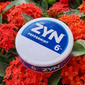 Quality nico pouches ZYN boxes pouch custom tag various tastes for sale