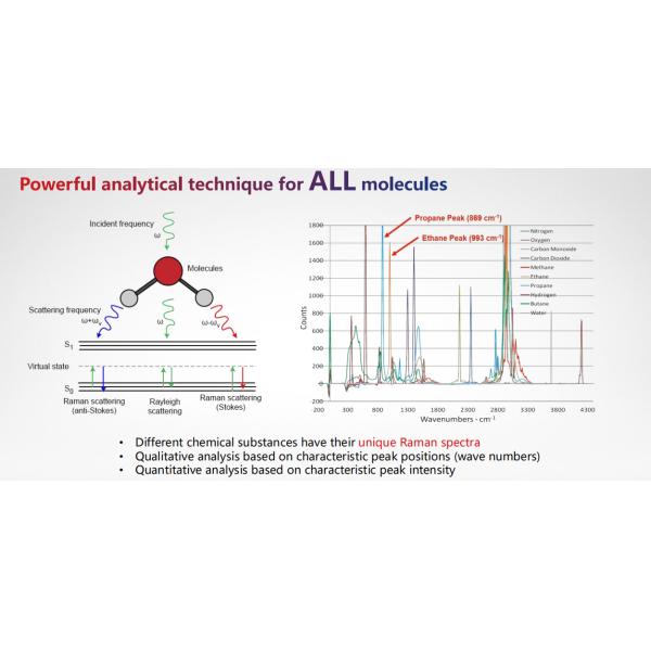 ISO9001 Certified Raman Gas Analyzer Real-Time Gas Analysis Solution