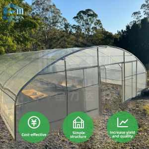 Quality PE Film Greenhouse Frame Structure Ventilated Serre Agricole Greenhouse for sale