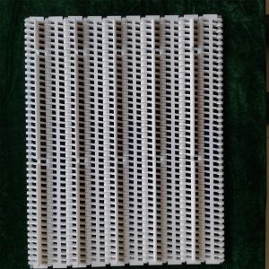 High Quality 27.2mm Pitch Plastic Flat Top Modular Belt