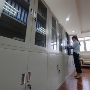 HALAL 80mesh 120mesh Dehydrated Garlic Powder In Low Bac