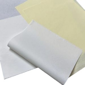 Bible printing paper parchment bible paper roll