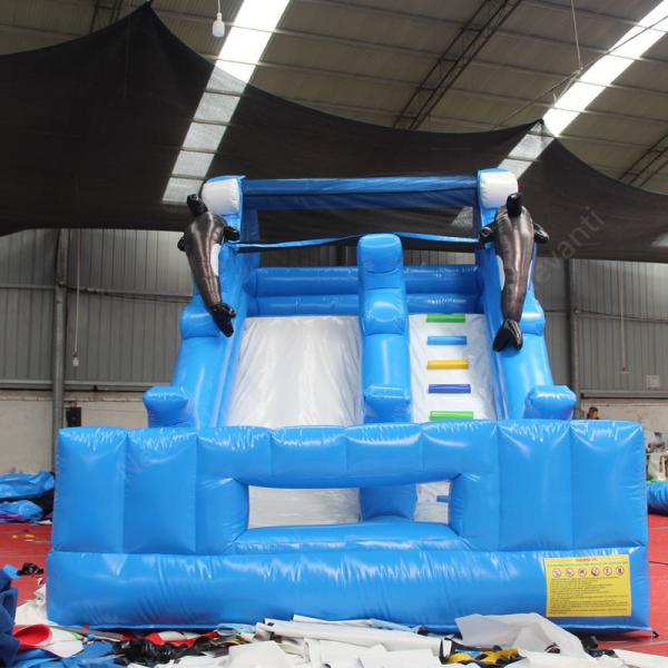 Unisex Inflatable Dry Slide Customized Size Inflatable Castle Slides for Water