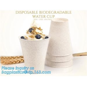 Custom Disposable Clear Cold Drink Juice Cup 100% Ecofriendly Biodegradable