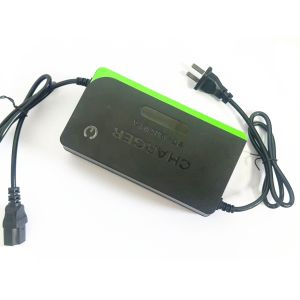 Professional 48V12Ah Intelligent Motorcycle Battery Charger with Automatic