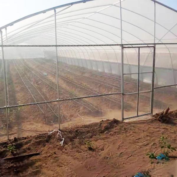 Vegetable Single Span Greenhouse Polycarbonate Sheet Covering