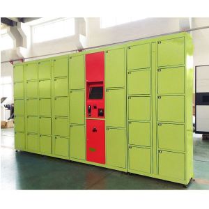 Integrated With Api Winnsen 15 Inch Laundry Locker