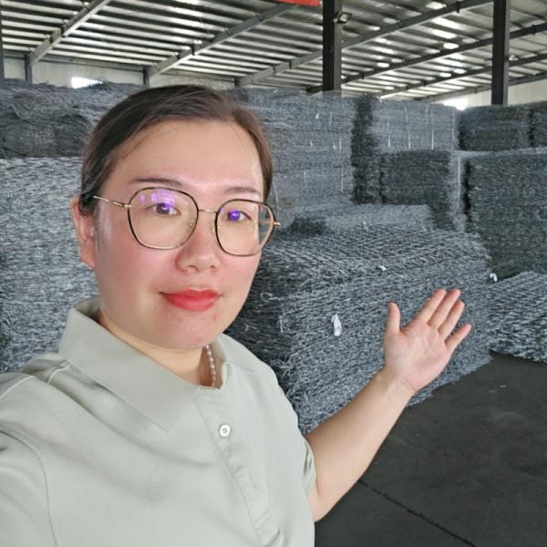 Protect Riverbanks Slopes and Channels with Heavy-Duty Gabion Wire Mesh Wall and