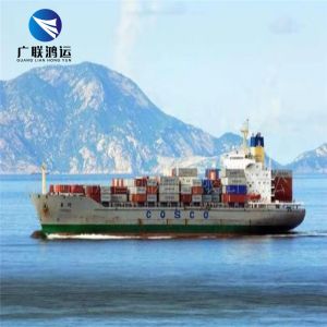 DDU DDP Cargo Ship From China To Australia Shipping Containers