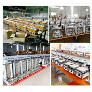 Professional Gas Powered Restaurant Cooking Equipment in Stainless Steel