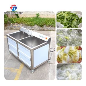 Quality Fruit Orange Leaves Vegetables sward beans Herbs Fruiting vegetables Wash Washer Washing Cleaning processing production Double cylinder fruit and for sale