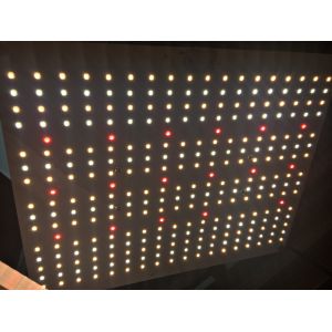100W 288pcs Chips Quantum Board Grow Light