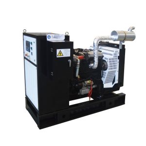 Brushless LPG Generator Sets AC Three Phase Environmental Friendly
