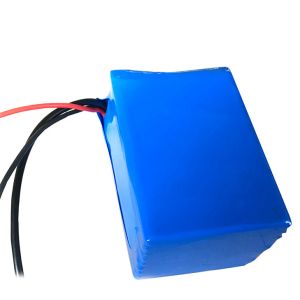 Custom 14.4Wh 12 V 12000mAh 18650 Battery Pack