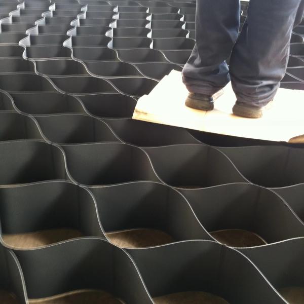 Homo Sapiens Cell Source Primary Cells Geo Cell Line with Monolayer Growth