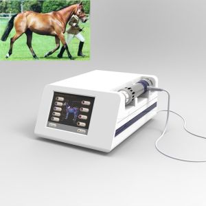 China 1Hz Equine Shock Wave Therapy Machine For Horses on sale
