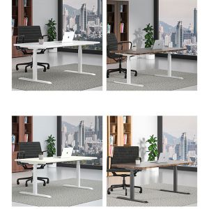 White Dual Motors Table Height Adjustable Standing Desk for Commercial