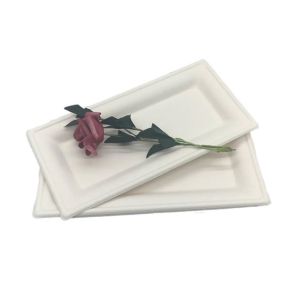 China Sugarcane Rectangle Dinner 10×5” Biodegradable Food Trays on sale