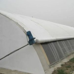 Tomato Farming Sunlight Greenhouse with Humidity Control and Temperature Control