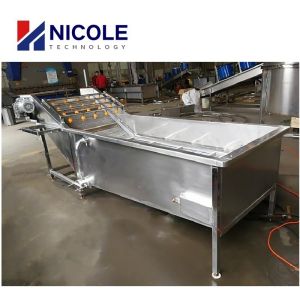 Air Bubble Fruit Vegetable Cleaning Machine Washer Multifunctional Customized