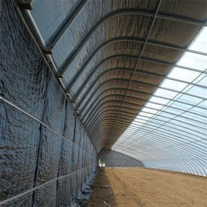 Cold Area Winter Passive Solar Greenhouse Plastic Film Single Tunnel