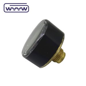250 Bar 300bar 1 Inch 25mm Mini Pressure Gauge Manometer M10X1