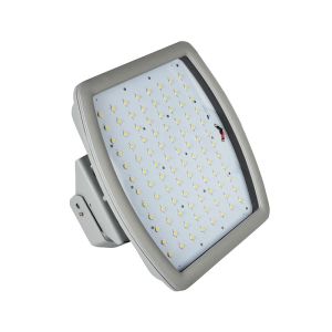 ATEX Meanwell driver waterproof 100w led explosion proof flood light