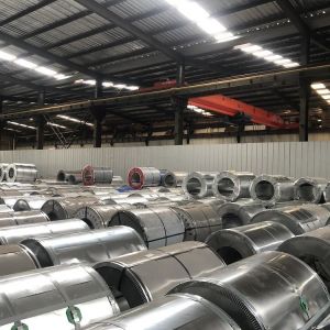Customized Regular Spangle 1.5mm Thick Galvanized Steel Sheet in Coil for Dx51d