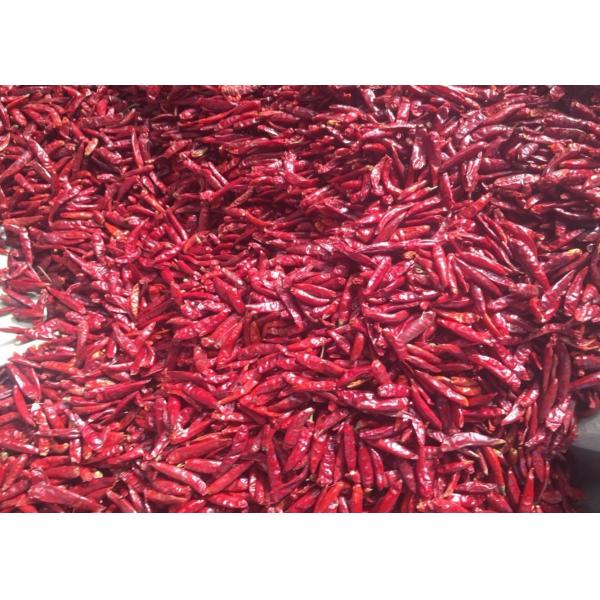 Buy Chaotian Dried Chilli Pepper Sterilized Whole Dried Chillies 20Kg at wholesale prices