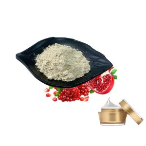 Cosmetics Pomegranate Extract Ellagic Acid Skin Care 40% Senescence Inhibition