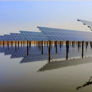 High Strength Steel Fixed Mounting System Hot Dipped Galvanizing For Fish