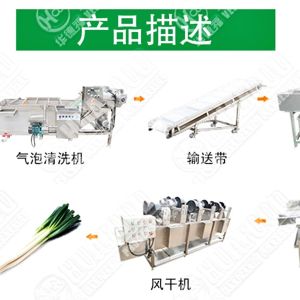 Rotary Impeller Vegetables Processing Line 2000KG Vegetables Washing Machine