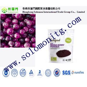 Quality Top Quality 100% Pure Maqui Berry Extract--Aristotelia chilensis for sale