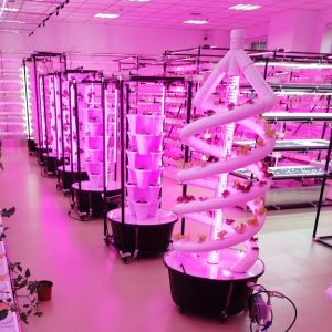 Plants Double Helix Hydroponic Rotating Farming Spiral NFT Hydroponic System