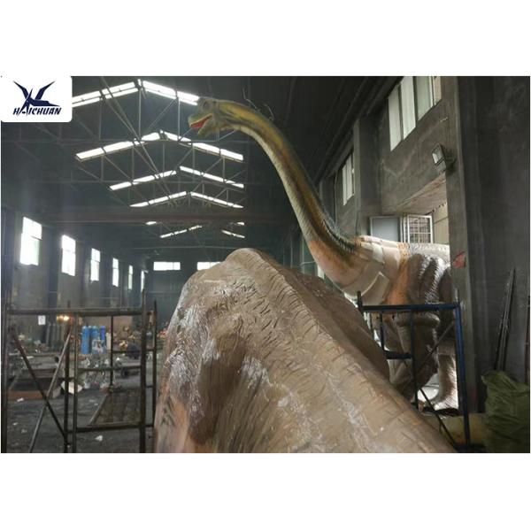 Handmade T Rex Model Giant Dinosaur Model For Road Beautification / Zoo Exhibition