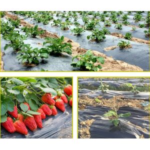 China Ultra Thin Agricultural Metalized PE Film , Plastic Greenhouse Black Mulch Film on sale