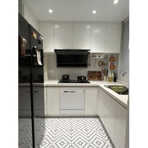 Matte Anti-Scratch Lacquered Hygienic Kitchen Cabinet With Gallery Lighting