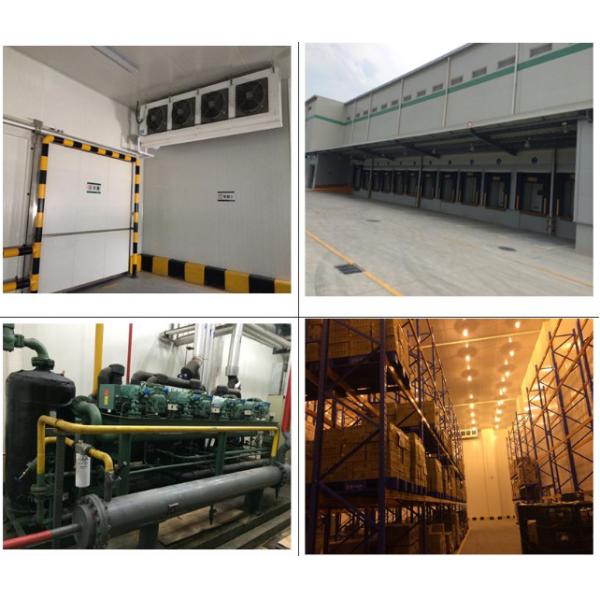 Customized Light Pre Engineered Steel Building Cold Room Steel Storage Warehouse