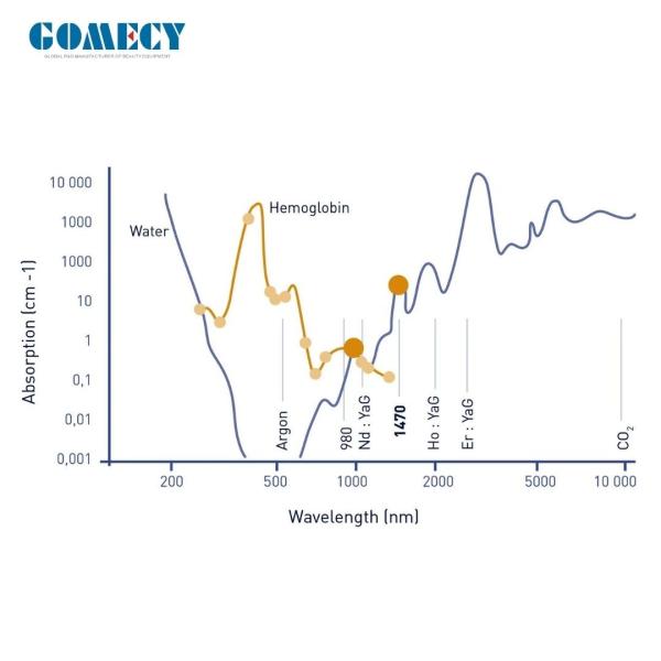 Get Rid of Nail Fungus with Gomecy 980nm Diode Laser Physiotherapy Machine Blue Light Therapy Pen