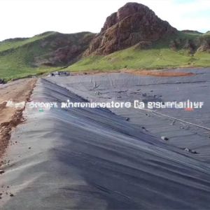 2mm HDPE Geomembrane for Waterproof Landfill and Swimming Pool Liner After-sale