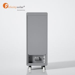 Felicity Lifepo4 48V 300Ah Batteries Lithium Ion Battery for solar storage 48 v