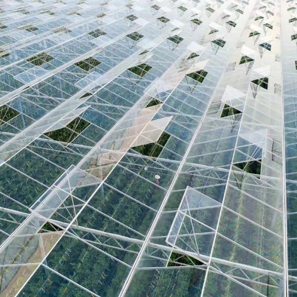 Buy Commercial Greenhouse Drip Irrigation Glass Hydroponics System with Customization at wholesale prices