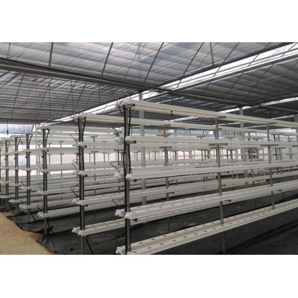 Buy Vertical Automated Pvc Nft Hydroponics System Nft Hydroponic Farm at wholesale prices