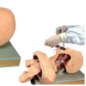 China Stock Comprehensive emergency skills training  neonate trachea tubing training model on sale