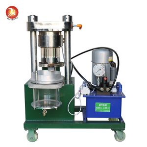 Buy cheap 330kg 220v Sesame Oil Cold Press Machine Mustard Hydraulic 2.5kg/Batch from wholesalers