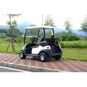 Excar 48V Electric Golf Car Pearlized Trojan Battery Aluminum Chassis