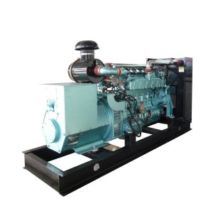 60kw 100kw Biogas Generator Set with Factory Price