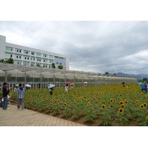 UV Resistant, Temperature-Regulated PC Greenhouse With Large Ventilation Areas -